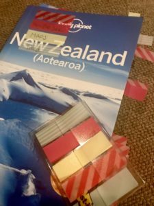 lonely planet book with flags