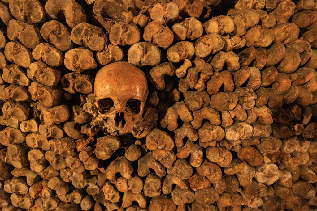 skull in the catacombs week Paris itinerary