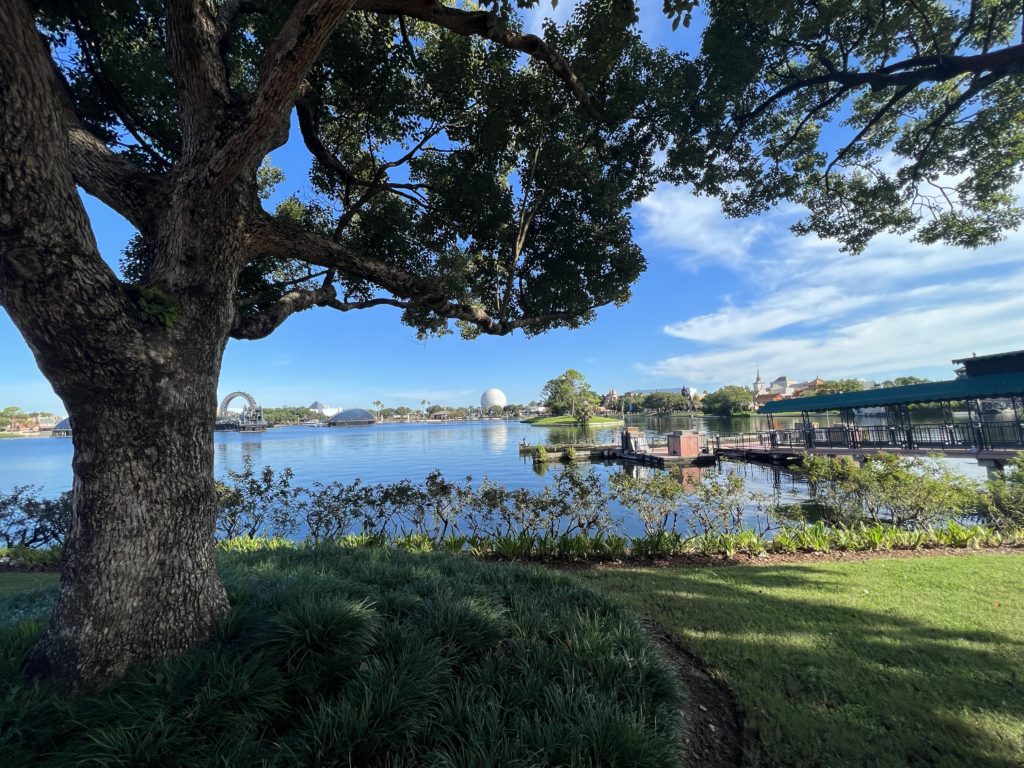 half day at Epcot view of the park